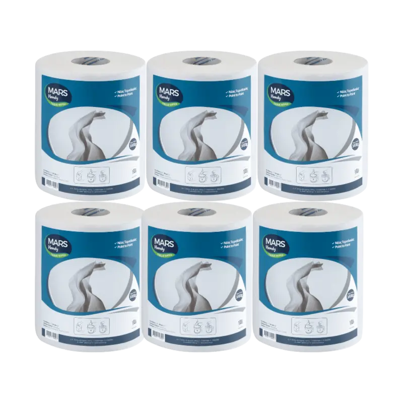 6 Putzrollen 33 x 20,7 cm, HACCP geeignet
