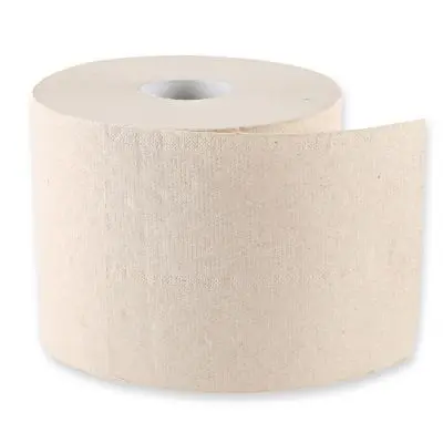 Bio-Toilettenpapier 2-lagig auf Kleinrolle, FSC®-Recycled von NatureStar 600 Abrisse - Karton mit 40 Rollen