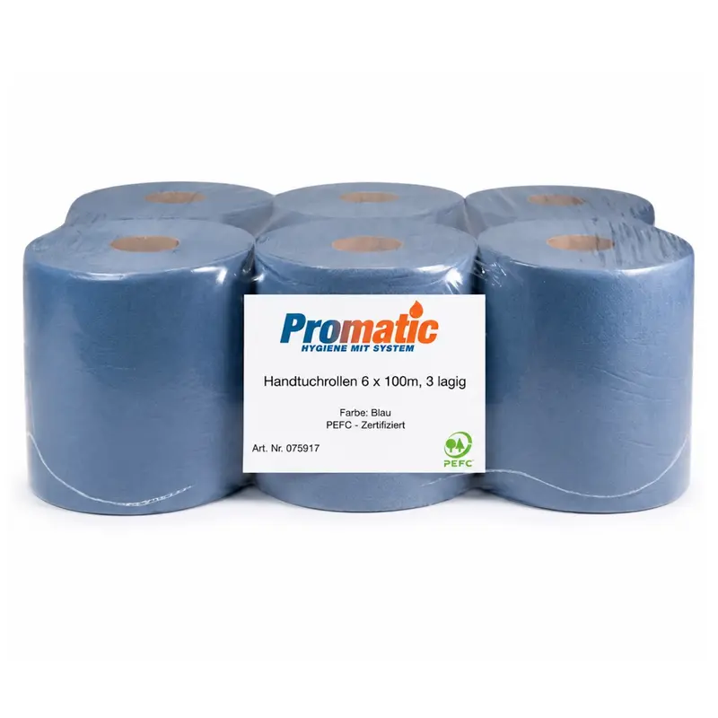 BUDGET by PROMATIC Blaue Handtuchrollen 2-lagig 100 m | 6 Rollen | Recycling-Zellstoff | PEFC