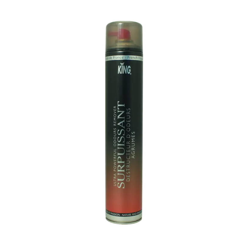 KING Zitrus 750ml Kraftvoller Geruchsvernichter