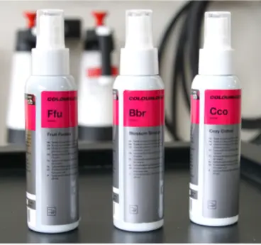 Koch Chemie Innenraum Lufterfrischer Auto Duftspray 100ml