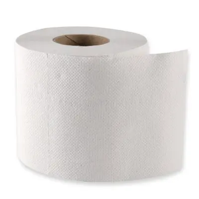 Toilettenpapier 2-lagig aus Recyclingpapier - Karton mit 64 Rollen (8x8 Rollen)