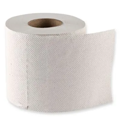 Toilettenpapier 3-lagig aus Recyclingpapier 250 Abrisse - Karton mit 64 Rollen (8x8 Rollen)